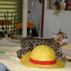 050416_sans titre_041-105